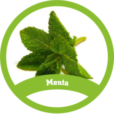 Menta